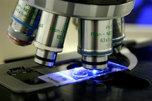 Understanding the Applications of Conductive Glass